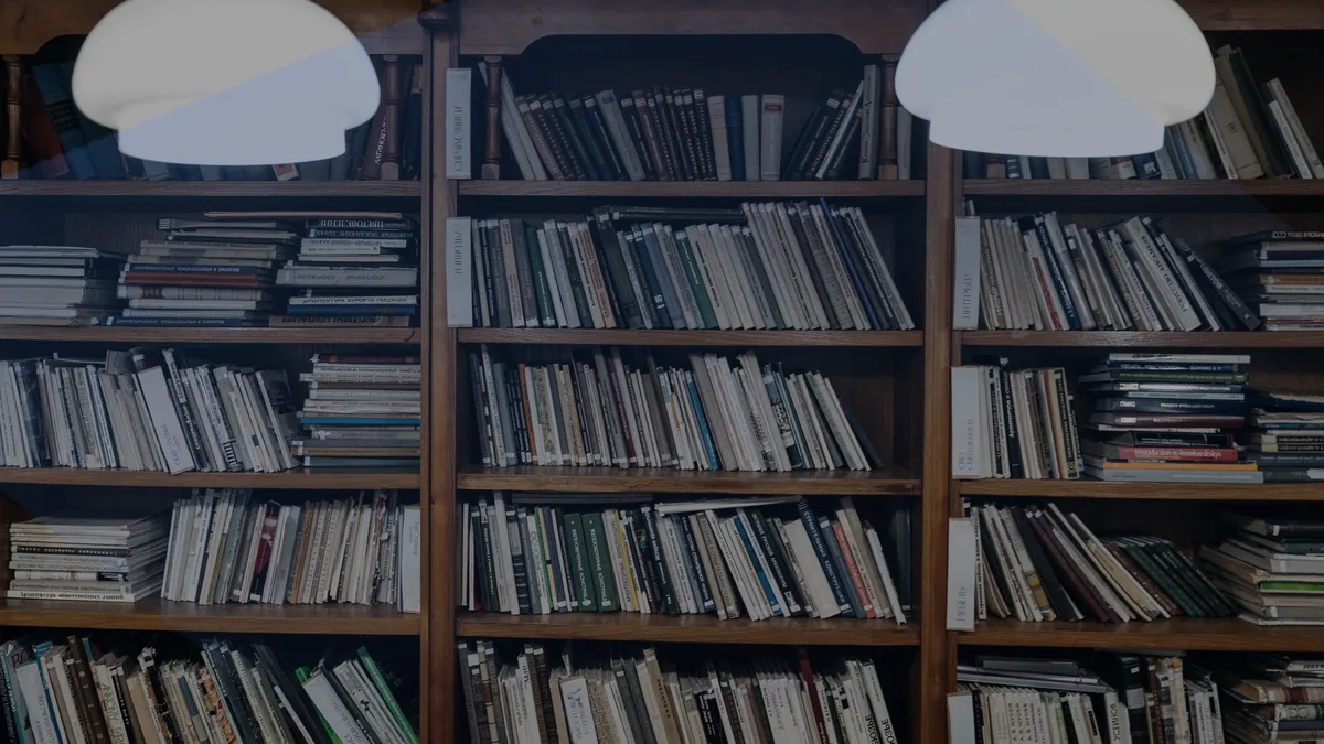 Shelves: a collection that lends rather than sells.